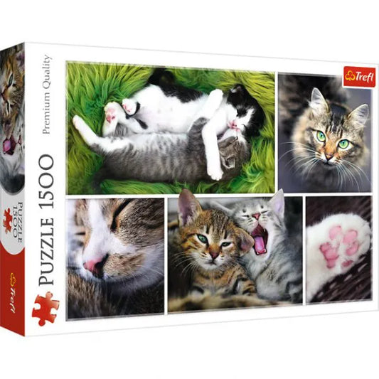 Puzzle 1500 pezzi - Just Cat Things