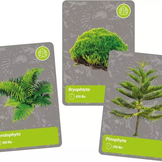 Storia della vita sulla terra