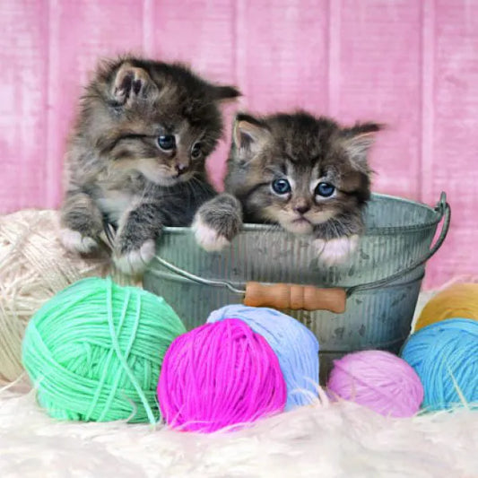 Puzzle 104 pezzi - Sweet Kittens