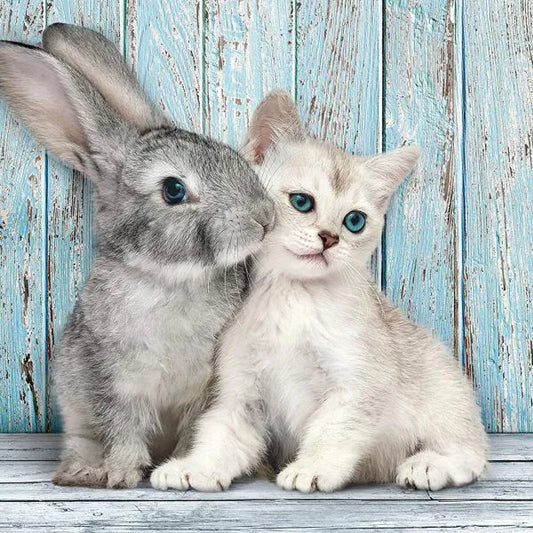 Puzzle 500 pezzi - Cat e Bunny