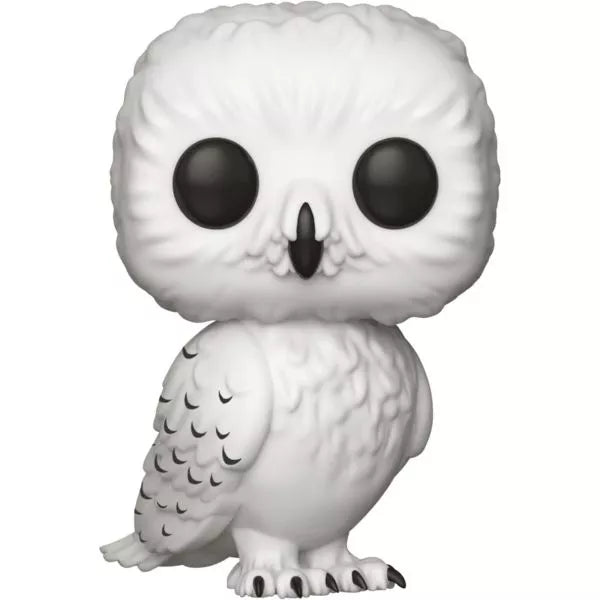 Pop edwig 76