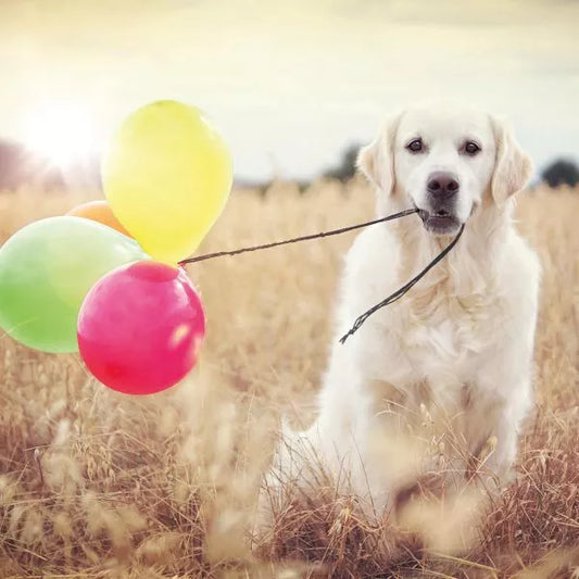 Puzzle 500 pezzi - Giorno di festa