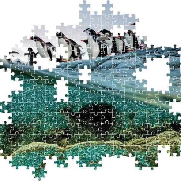Puzzle 1000pz pinguini