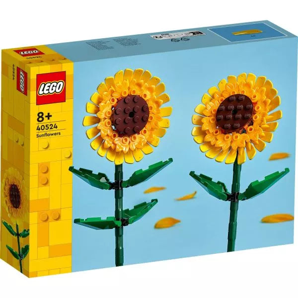 Duplo 40524