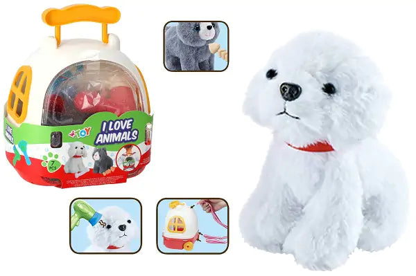 ZAINETTO TRASPORTINO